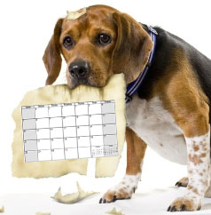 dog-calendar